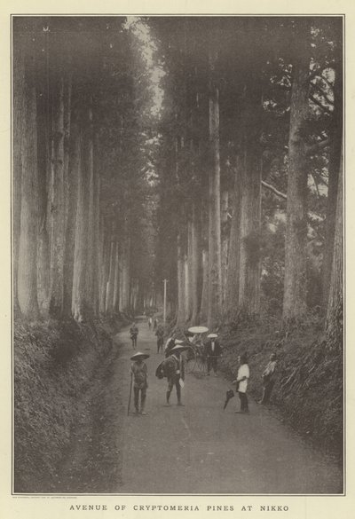 Laan van Cryptomeria-pijnbomen bij Nikko door Japanese Photographer