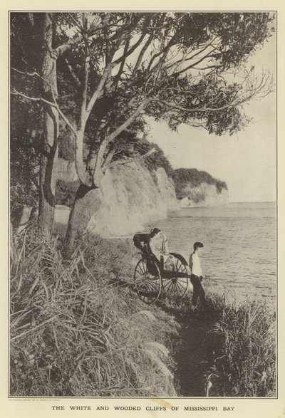 De witte en beboste kliffen van Mississippi Bay door Japanese Photographer