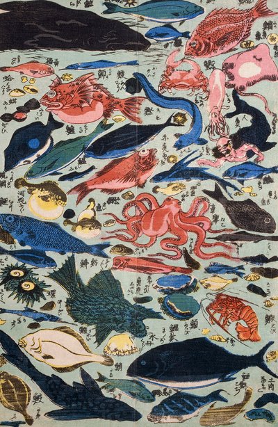 Verse vis, weekdieren en schaaldieren door Japanese School