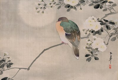 Japanse zijdeschildering van een houtduif door Japanese School