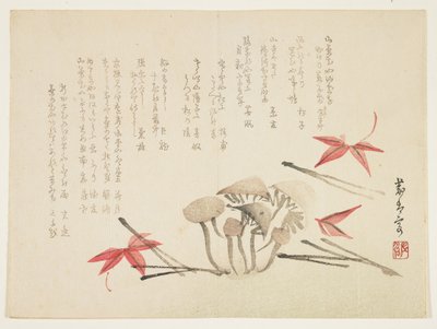 Paddenstoelen, esdoornbladeren en dennennaalden door Japanese School