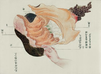 De maag en darmen van de dissectie van een martelslachtoffer van 1796, uit een makimono van een Midori-dokter, 1842 door Japanese School