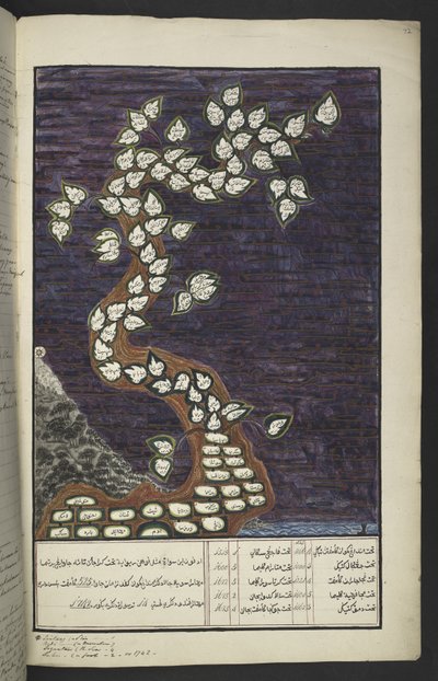 Genealogische kaart in de vorm van een boom van de heersers van Java, van Adam tot Pakuwana IV (van Surakarta) en Mataram IV (Hamengkubuwana IV van Yogykarta), in een Javaans manuscript, Papakem Pawukon door Javanese School