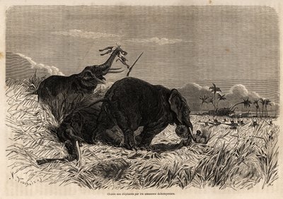 De jacht op olifanten door de Dahomese Amazones door Jean Antoine Valentin Foulquier
