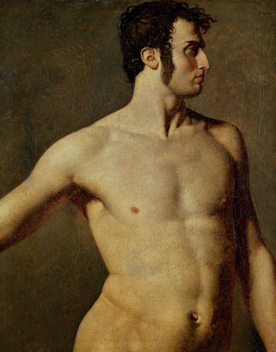 Mannelijke torso door Jean Auguste Dominique Ingres