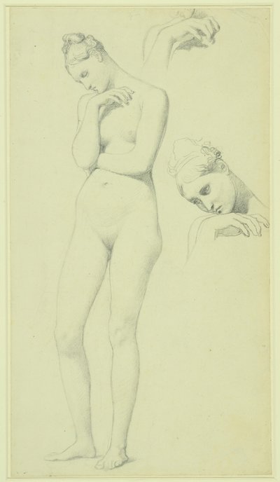 Studies voor de figuur van Stratonice, ca. 1834-40 (potlood op papier) door Jean Auguste Dominique Ingres