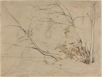 Boomgroep bij Civita Castellana, 1826 door Jean Baptiste Camille Corot