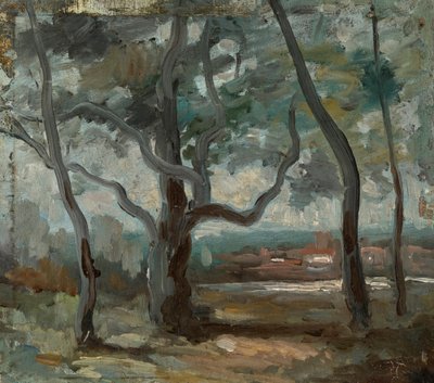 De grote boom (studie) door Jean Baptiste Camille Corot