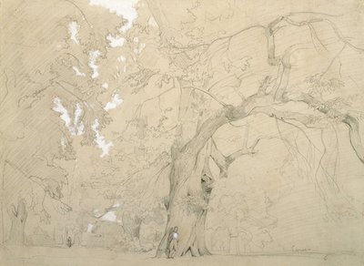 Jonge man voor een grote eik door Jean Baptiste Camille Corot
