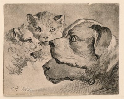 Koppen van katten en honden door Jean Baptiste Huet