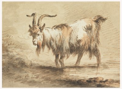 Tekening, Studie van een geit, 1772 door Jean Baptiste Huet