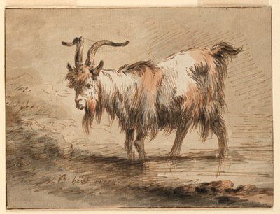 Tekening, Studie van een geit, 1772 door Jean Baptiste Huet