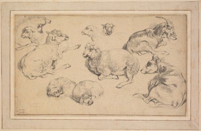 Blad met studies van schapen, geiten en honden door Jean Baptiste Marie Huet