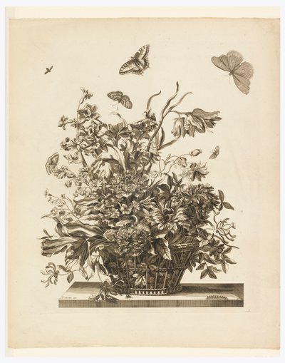 Blad 10, uit set van bloemen in een mand door Jean Baptiste Monnoyer