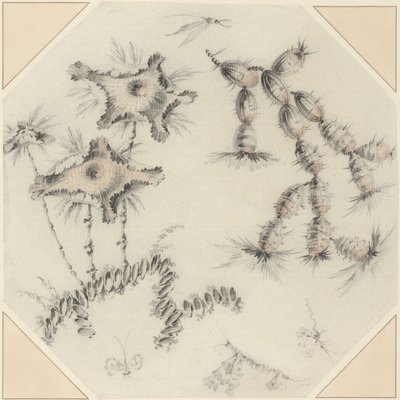 Bamboebloemen en cactussen (zwart en rood krijt op geschept papier) door Jean Baptiste Pillement