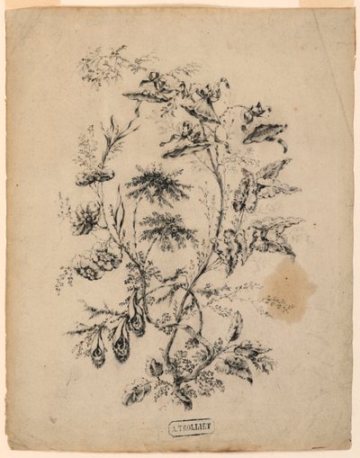 Tekening, Touw van een fantastische boom, 1775-1800 door Jean Baptiste Pillement