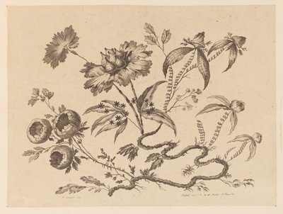 Bloementakken, uit "Recueil de Differentes Fleurs de Fantaisie Dans le Goût Chinois" door Jean Baptiste Pillement