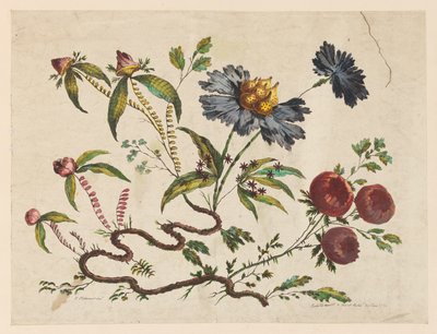 Bloemtakken, uit "Recueil de Differentes Fleurs de Fantaisie Dans le Goût Chinois" door Jean Baptiste Pillement