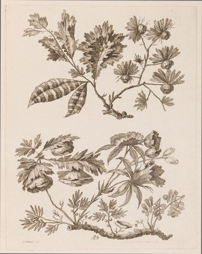Bloementakken, uit "Verzameling van Verschillende Fantasiebloemen in Chinese Stijl" door Jean Baptiste Pillement