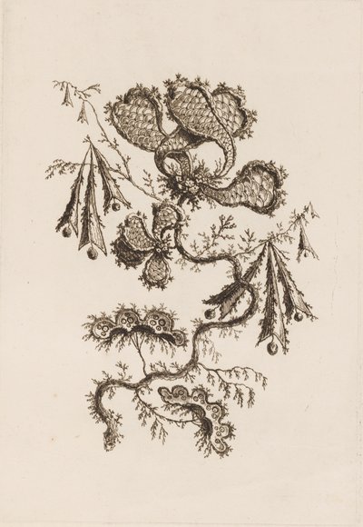 Bloementak, uit 