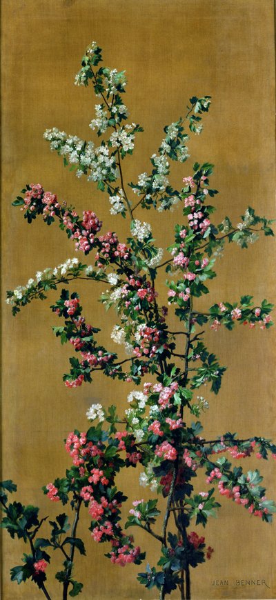 Japanse kersenboom en meidoorntakken door Jean Benner