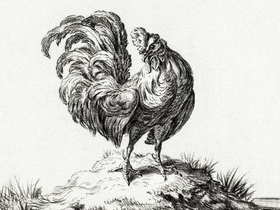 Kip, staande op een heuvel door Jean Bernard