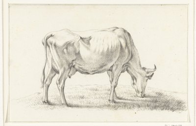 Grazende koe, naar rechts door Jean Bernard