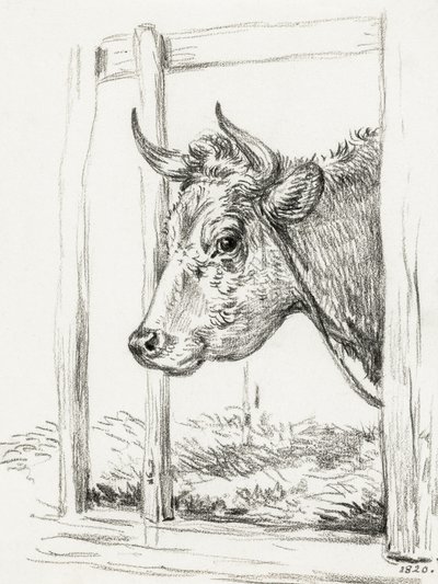 Koeienkop (1820) door Jean Bernard