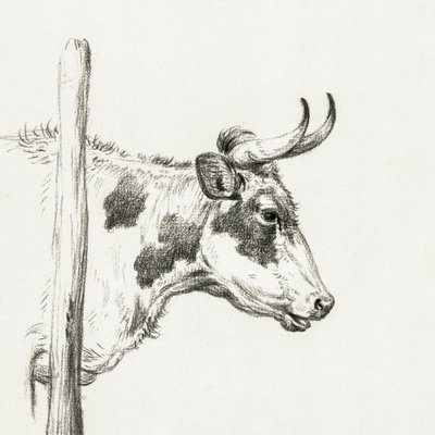 Koeienkop, naar rechts (1820) door Jean Bernard