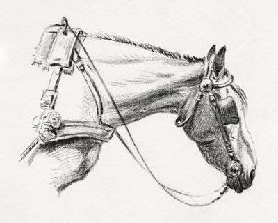 Paardenhoofd (1820) door Jean Bernard