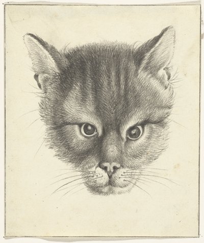 Kattenkop, van voren door Jean Bernard