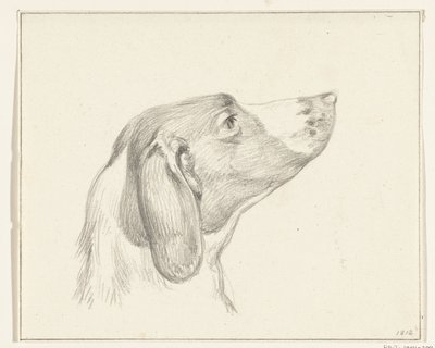 Kop van een hond, naar rechts door Jean Bernard