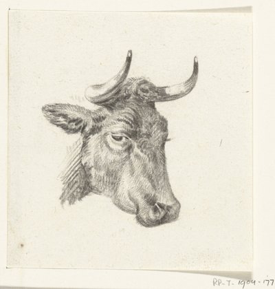 Kop van een koe door Jean Bernard