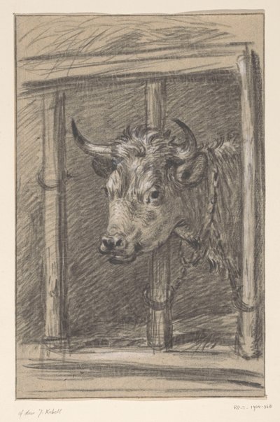 Kop van een koe, door de spijlen van een stal door Jean Bernard
