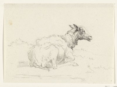 Liggend schaap, naar rechts door Jean Bernard