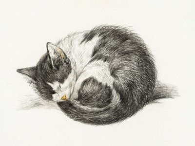 Opgerolde, liggende, slapende kat (1825) door Jean Bernard