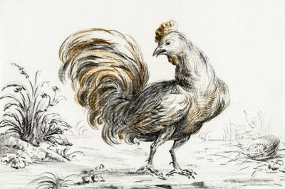 Rooster door Jean Bernard