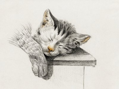 Schets van een slapende kat door Jean Bernard
