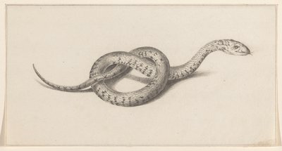 Slang door Jean Bernard