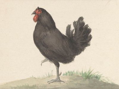 Staande Zwarte Kip (1775–1833) door Jean Bernard