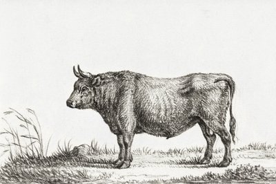 Standing Bull door Jean Bernard