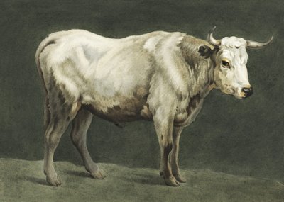 Schilderij van Standing Bull door Jean Bernard