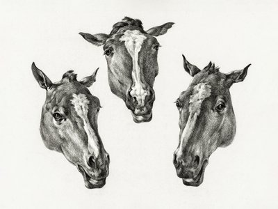Drie paardenkoppen (1812) door Jean Bernard