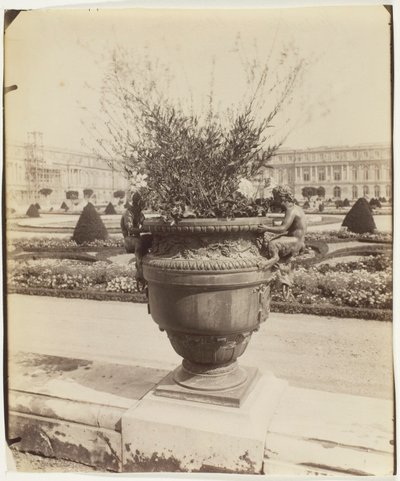Versailles, vaas van Ballin door Jean Eugène Auguste Atget