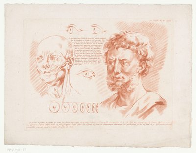 Twee mannenhoofden en ogen vanuit verschillende gezichtspunten (Composities met delen van het menselijke lichaam) door Jean Francois Janinet