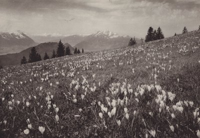 Rigi Kaltbad, Lente door Jean Gaberell