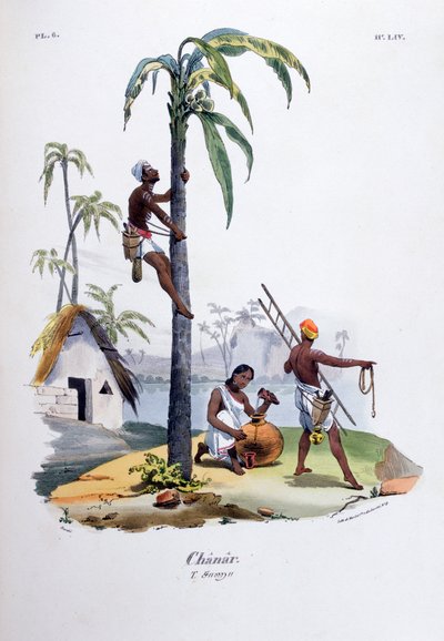 Chanar door Jean Henri Marlet