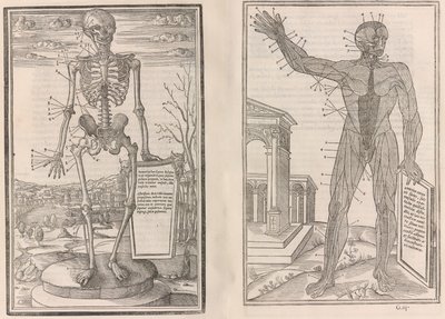 De dissectie van de delen van het menselijk lichaam, 1545 door Jean Jollat