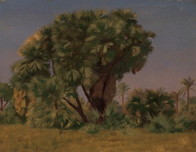 Studie van Palmbomen, waarschijnlijk 1868 door Jean Leon Gerome