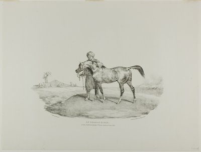 Een Arabisch paard, plaat 8 uit Diverse onderwerpen Getekend uit het leven en op steen (De Engelse Suite) door Jean Louis André Théodore Géricault